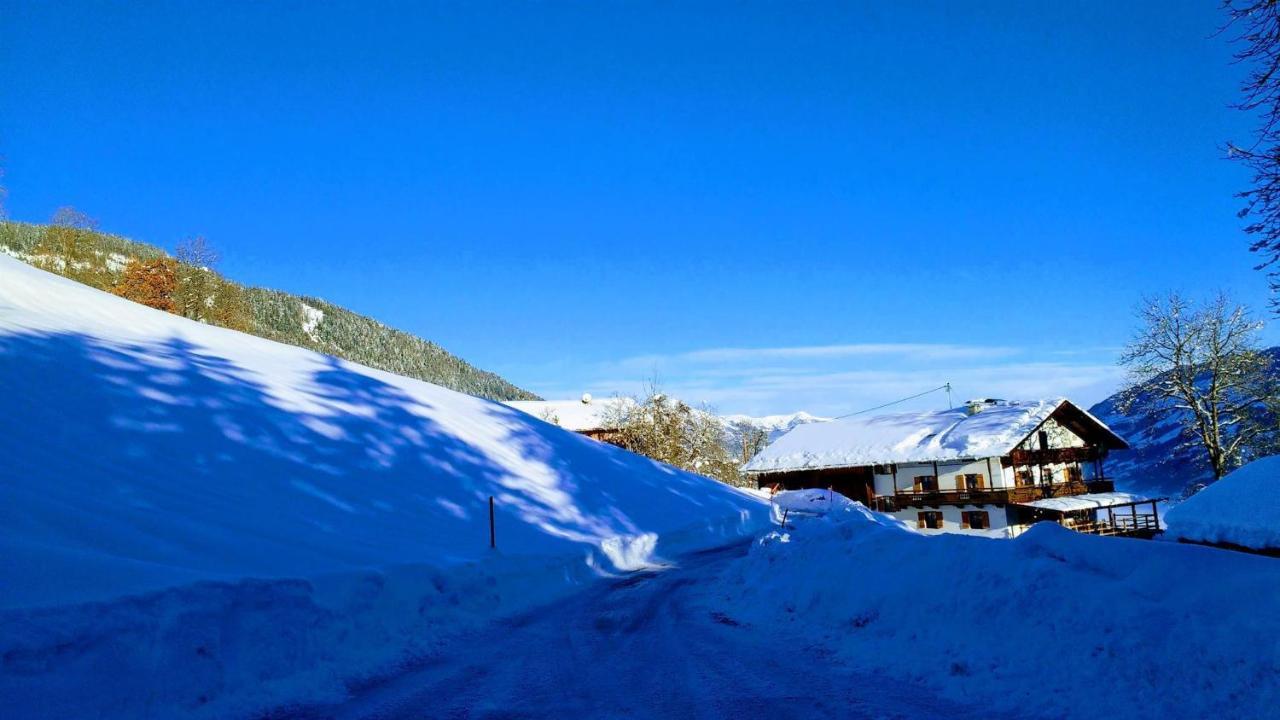 Wieshof Daire Kaltenbach Dış mekan fotoğraf