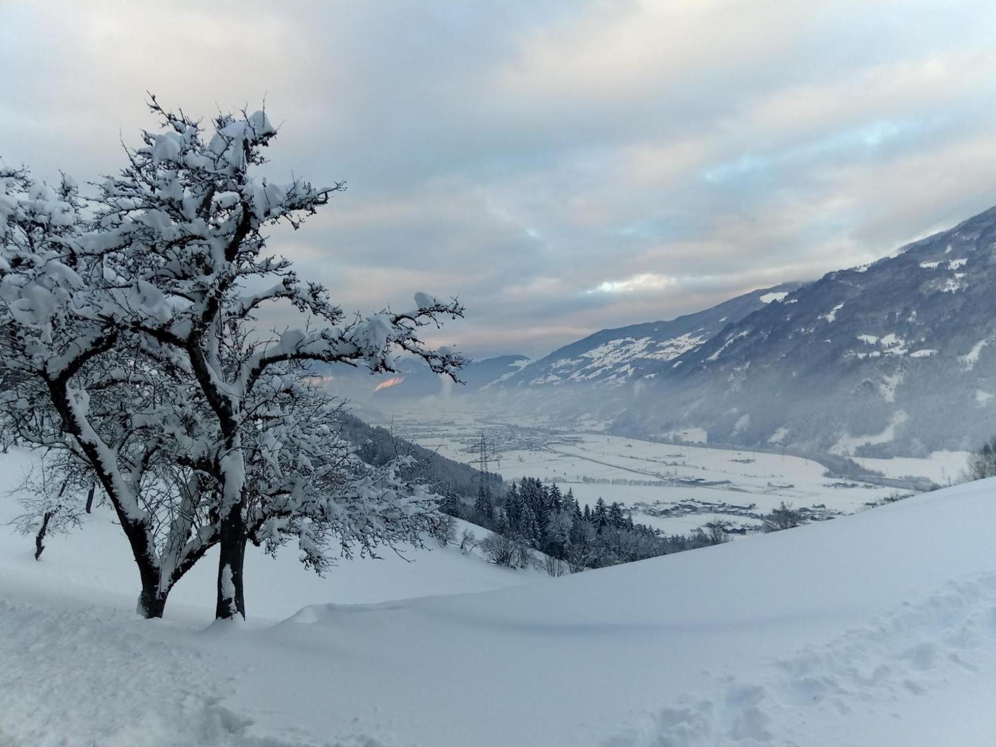 Wieshof Kaltenbach Dış mekan fotoğraf