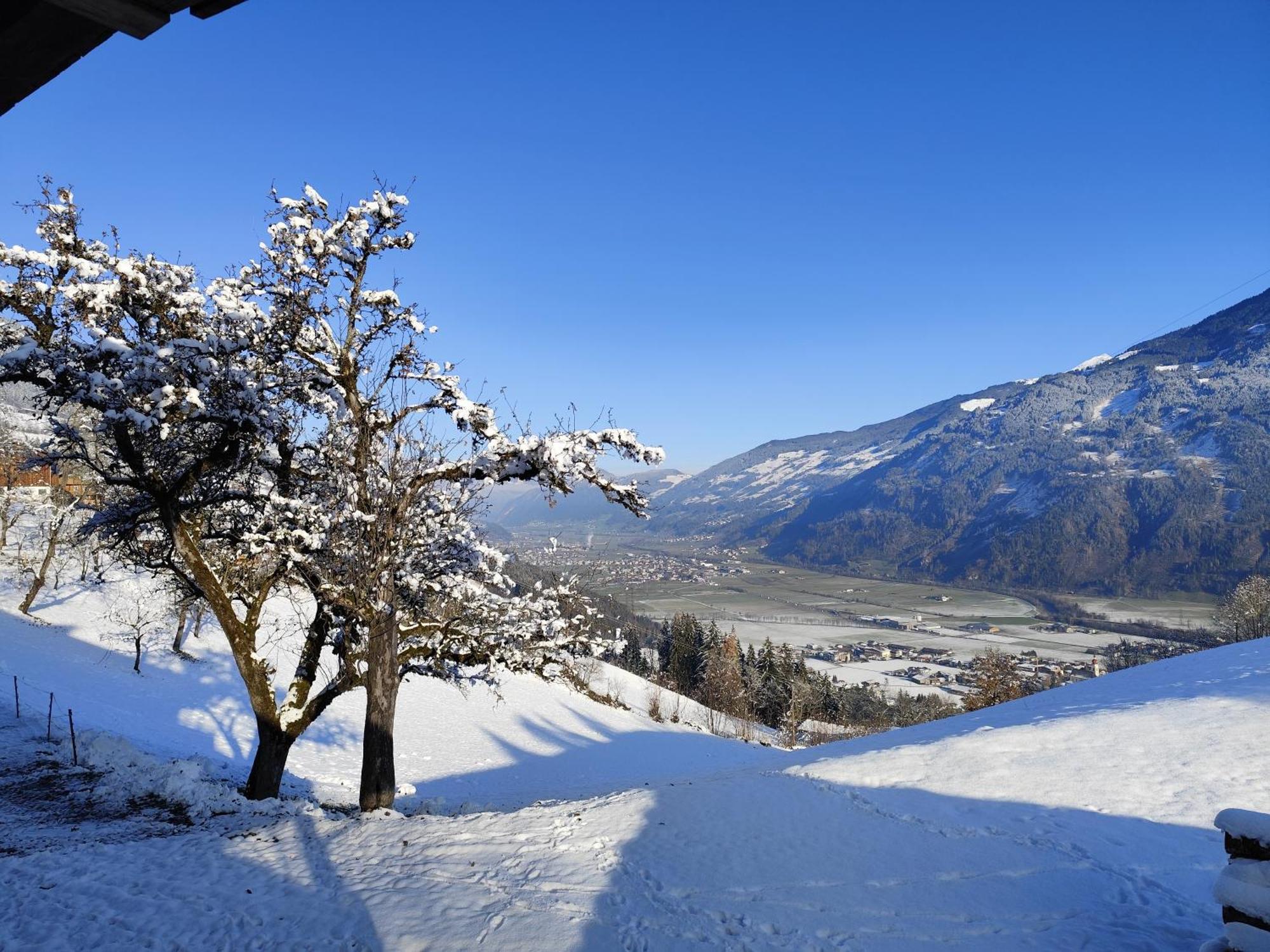 Wieshof Kaltenbach Dış mekan fotoğraf