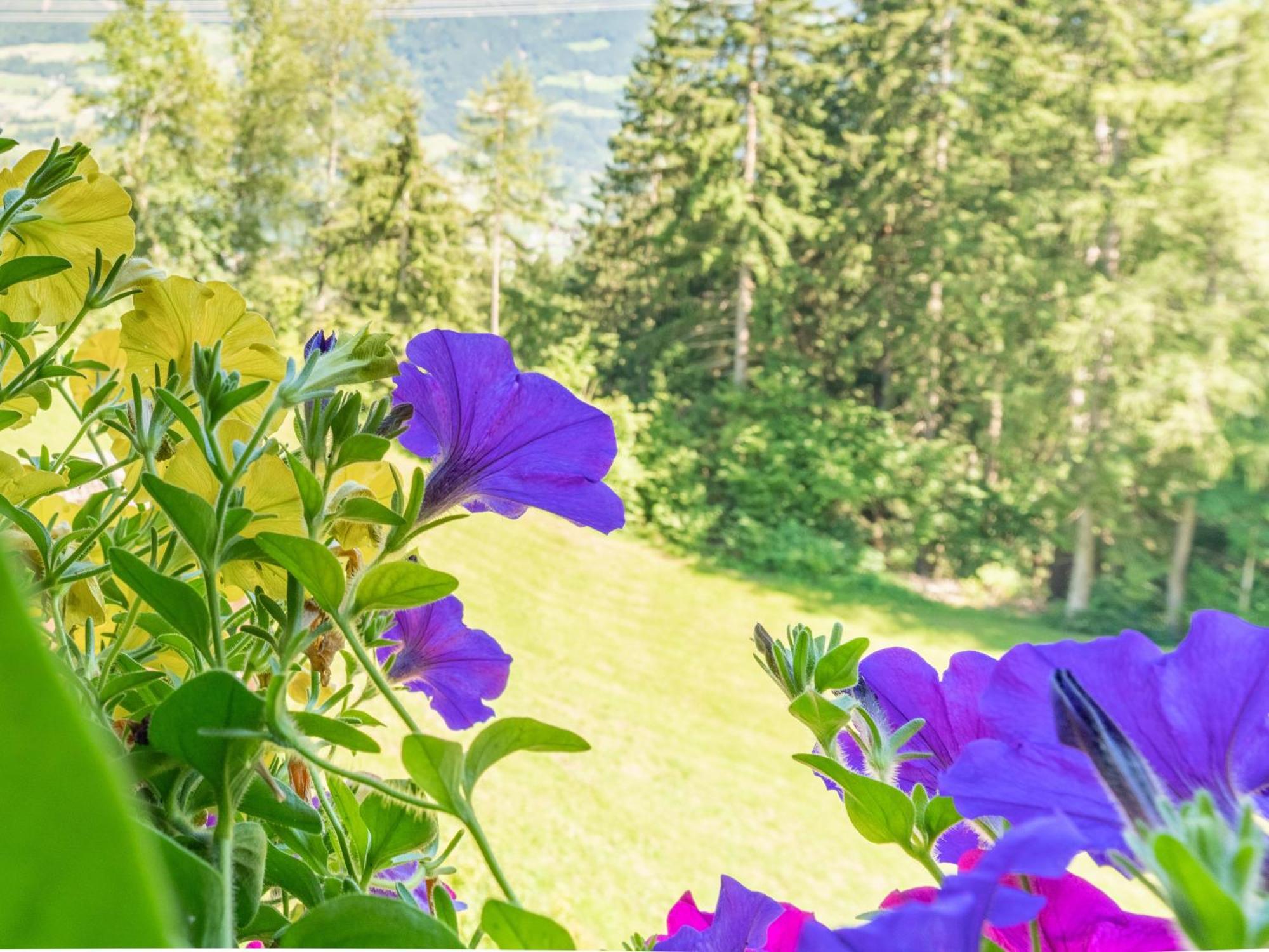 Wieshof Kaltenbach Oda fotoğraf